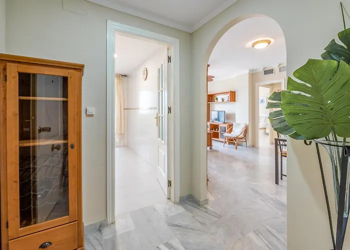 Oleholidays Napoleon 1 Junto A Alicate Playa *